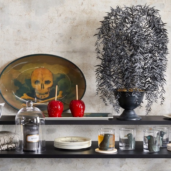 John Derian for Threshold Midnight Dreary Black Bird Glass Drinkware Set - Picture 6 of 9